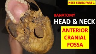 NEET SERIES PART 1 HEAD AND NECKANTERIOR CRANIAL FOSSA HUMAN ANATOMYDENTALdentalcafe4331 [upl. by Gorlin]