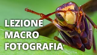 🐞 LEZIONE FOTOGRAFIA MACRO Attrezzatura Stacked Images Photoshop Lightroom [upl. by Marguerie]