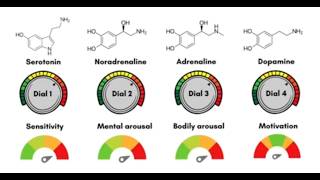 Medications and mood How the quotantidepressantsquot work THE 5 DIALS [upl. by Marder]