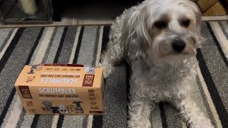 SCRUMBLES GUT FRIENDLY WET DOG FOOD [upl. by Masson]