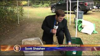 Wild Rice Production in Backus  Lakeland News at Ten  September 22 2014 [upl. by Hoover951]