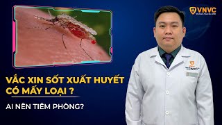 Vắc xin sốt xuất huyết có mấy loại Ai nên tiêm phòng  VNVC [upl. by Raymonds777]