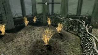 How to get lots of healing potion in Skyrim [upl. by Drucilla]