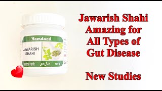 Jawarish Shahi Amazing for Gut Disease  New Studies [upl. by Enrika]