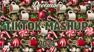 TikTok Mashup December 🎄2024🎄 Not Clean [upl. by Ssepmet]