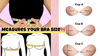 How to Measure Perfect Bra Size🎀Find your Bra according to size👙👩🏻‍🦰 [upl. by Frazier543]