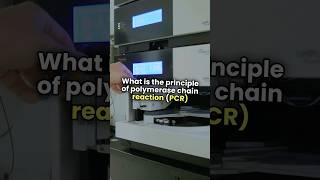 What is the principle of polymerase chain reaction [upl. by Itsud]