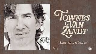 Townes Van Zandt  Sanitarium Blues Official Audio [upl. by Wobniar]