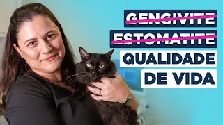 ANTIBIÓTICO para gato gripado Rinotraqueíte felina [upl. by Elvis]