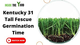 All You Need To Know About Kentucky 31 Tall Fescue Germination Time [upl. by Ylrae]