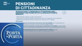 Pensione di cittadinanza a chi spetta  Porta a porta 17012019 [upl. by Harpole]