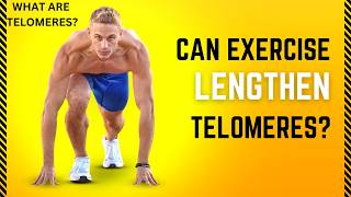 CAN EXERCISE LENGTHEN TELOMERES TELOMERES EXPLAINED [upl. by Acirretahs]