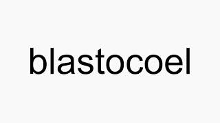 How to pronounce blastocoel [upl. by Metsky615]