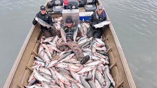 Dip Netting The Kenai River GOT OUT OF CONTROL [upl. by Ikcim]