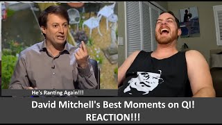 American Reacts to QI  David Mitchells Best Moments REACTION [upl. by Leafar]