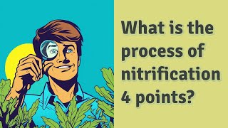 What is the process of nitrification 4 points [upl. by Swec]