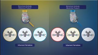 Biosimilars Manufacturing and Inherent Variation [upl. by Adnak]