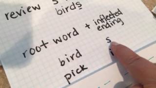 Spelling with inflected endings [upl. by Aikram]