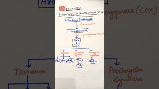 PROSTAGLANDIN BIOSYNTHESIS mbbs medicine doctor neetpg [upl. by Erdnaek]