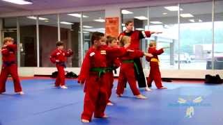 Karate classes for children Troy Michigan [upl. by Kirschner]