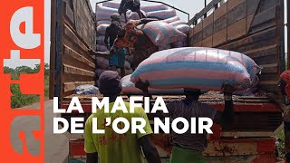 Côte d’Ivoire  haro sur le cacao  ARTE Reportage [upl. by Ramgad829]