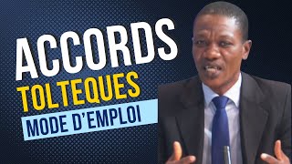 Les 4 Accords Toltèques  Mode dEmploi [upl. by Lalaj]