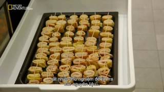 Mega Food  Catering To Fashion Full Documentary [upl. by Maurie]