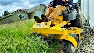 Satisfying Tall Grass Mowing  Overgrown Lawn Makeover  Stripes [upl. by Villiers]