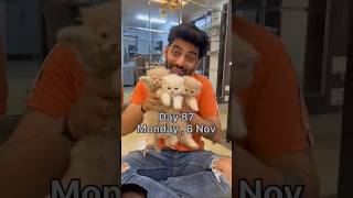 Tusky ne kiya pareshan minivlog cat vlog pets catlover ashortaday viralshort tranding [upl. by Malvino616]