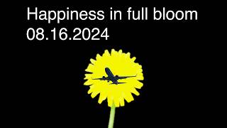 Happiness in full bloom  promo [upl. by Auqinal134]