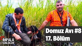 Domuz Avı 8 impala Günlükleri 17 Bölüm Wild Boar Hunting Yaban Tv [upl. by Fowle]