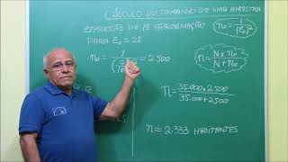 Estatística  Como calcular o tamanho de uma amostra [upl. by Nerissa]