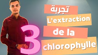 Lextraction de la chlorophylle من أهم التجارب التي ينبغي ضبطها [upl. by Ynnad]