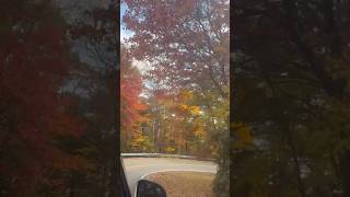 Brasstown bald fallfoliage view fallcolors highestpoint northgeorgia fallfoliage autumnfoliage [upl. by Nauqit]