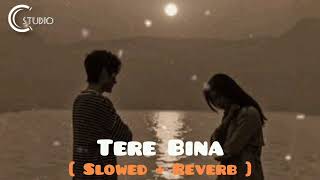 Tere Bina  Slowed  Reverb   1921  Arijit Singh  Aakanksha Sharma  Asad Khan [upl. by Manuel108]