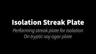 Isolation streak plate technique [upl. by Iretak]