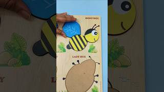 Honeybee Puzzle  Bugn Roll  Bug Song kidslearning toddlers shorts [upl. by Debby]