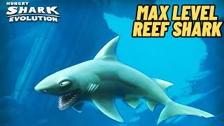 Max level Reef Shark EATS everything  HUNGRY SHARK EVOLUTION [upl. by Nowaj42]