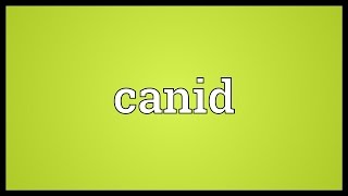 Canid Meaning [upl. by Ramirol]