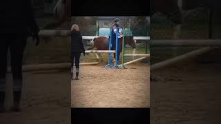 skoki na Basi przez Cavaletti horse horseriding horsejumps [upl. by Annitsirhc]