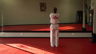 Brown Belt Taegeuk Chil Jang Reverse View Full Speed [upl. by Dej6]