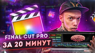 МОНТАЖ В FINAL CUT PRO  Подробный гайд для новичков от А до Я Библиотека Эффекты Цветокор [upl. by Mulloy]