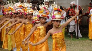 Tari Rejang Dewa saat Rahina Ngusaba Pura Puseh [upl. by Tatman]