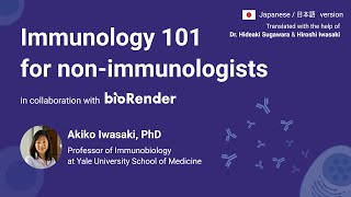 COVID19 immunology 101 for nonimmunologists by Akiko Iwasaki PhD Japanese [upl. by Hermosa828]