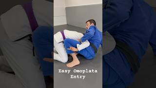 Easy Omoplata Entry omoplata bjj jiujitsu jiujitsulifestyle martialarts grappling [upl. by Menashem]