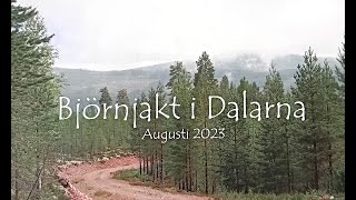 Björnjakt i Älvdalen 2023 [upl. by Mather]