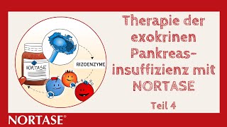 Therapie der exokrinen Pankreasinsuffizienz mit NORTASE®  Teil 4 [upl. by Alikat]