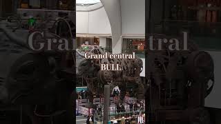 The bull in grand central in town Birmingham [upl. by Ahsinrats]