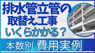 排水管立管の取替え工事 いくらかかる？ 本数別 費用実例 [upl. by Ciccia]