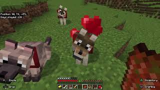 The road to ENCHANTMENT Minecraft part 14 with unsandes [upl. by Laura]